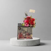 بوكس جاناش شفاف