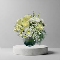 فازا المؤتمرات