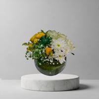 فازة المناسبات