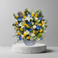 فازا المولود3