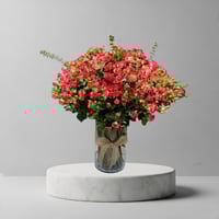 فازا بيبي روز دبل كلر