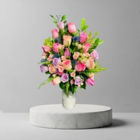 فازا التالق