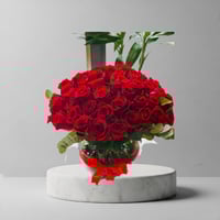 فازا عيد الحب