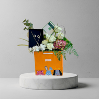 بكج الباتشي 11