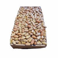 تمر قصب لبانه يبدأ بوزن 250 جرام