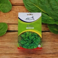 بذور سبانخ للزراعة 10 جرام