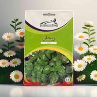 بذور ريحان أخضر للزراعة
