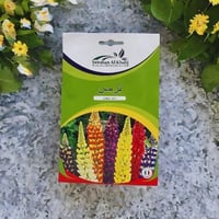 بذور ترمس للزراعة