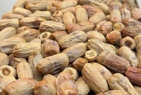 تمر قصب لبانه يبدأ بوزن 250 جرام