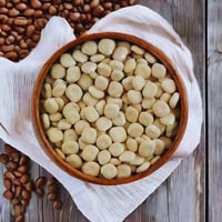 حبوب ترمس حلو – بأوزان متنوعة لتلبية كل احتياجاتك