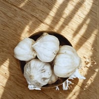 ثوم يمني يبدأ يوزن 250 جرام