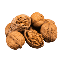 جوز عين الجمل بالقشرة يبدأ بوزن 250 جرام