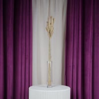 ساق زهور طبيعي مجفف بني