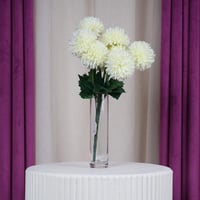 ورد قرنفل سكري