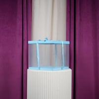 علب كيك ومنتجات مربع شفاف سماوي وسط