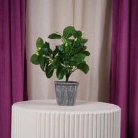 شجر زينة صناعي صغير اخضر