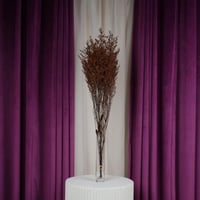 باقة ستاتيس مجفف بني