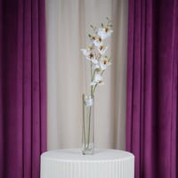 ورد السمبيديوم سكري