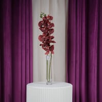 غصن زهر أوركيد عودي