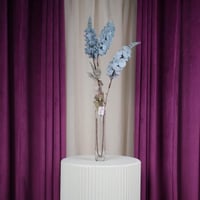 ورد سماوي مع أوراق