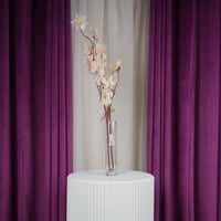 ورد بيج غصن طويل