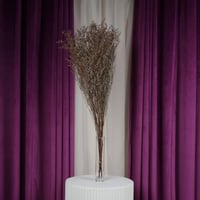 باقة ستاتيس مجفف بني فاتح