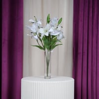 ورد كازبلانكا أبيض