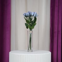 ورد بيبي روز سماوي