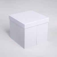 علب متعددة الأقسام أبيض