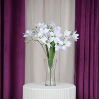 ورد زهرة الزنبق أبيض