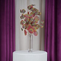 باقة ورق شجر عودي على أخضر