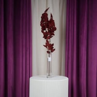 ورد عودي مع أوراق