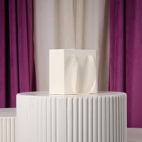 علبة منتجات أبيض شيال صغير