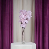 أزهار الكرز الساكورا وردي فاتح