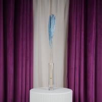 باقة بامباس سماوي مجفف