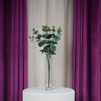 باقة أوراق الكاليبتوس الخضراء