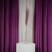 ساق ريش مجفف لحمي