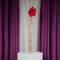 ساق زهور طبيعي مجفف فوشي