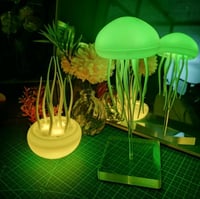 قنديل البحر المضيء