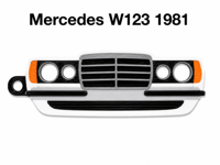 W123 1981