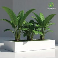 حوض للزراعة عريض فيبر 1.5م