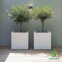 مركن جاهز لزراعة الشجر الكبير