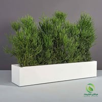 حوض فيبر لزراعة النباتات 2م