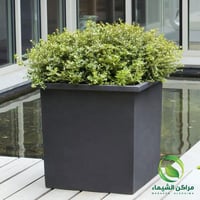 حوض فايبر مودرن للكافيهات والمولات