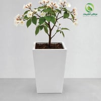 مركن لزراعة الأشجار فيبر متوسط الحجم