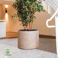 مركن دائري لزراعة الشجر