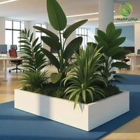 حوض زرع جاهز متنقل للمكاتب الإدارية والكافيهات