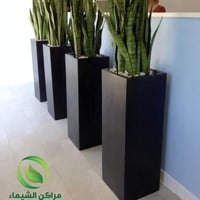 مركن فايبر زرع الأكثر استخداماً