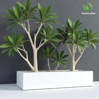 حوض للزراعه 1.5م كبير فيبر