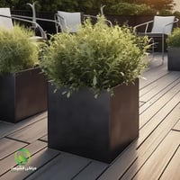 مركن زرع للمطاعم والكافيهات